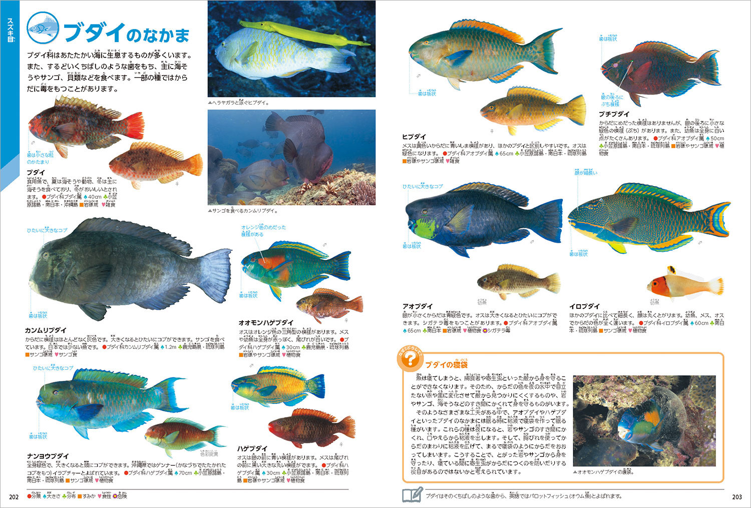 魚 新版｜学研の図鑑LIVE｜学研の図鑑（Gakken）