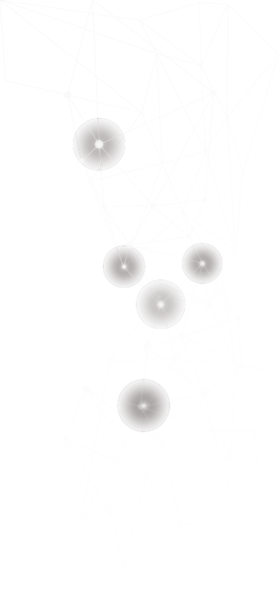 クオリティカンパニー デザインプログラム