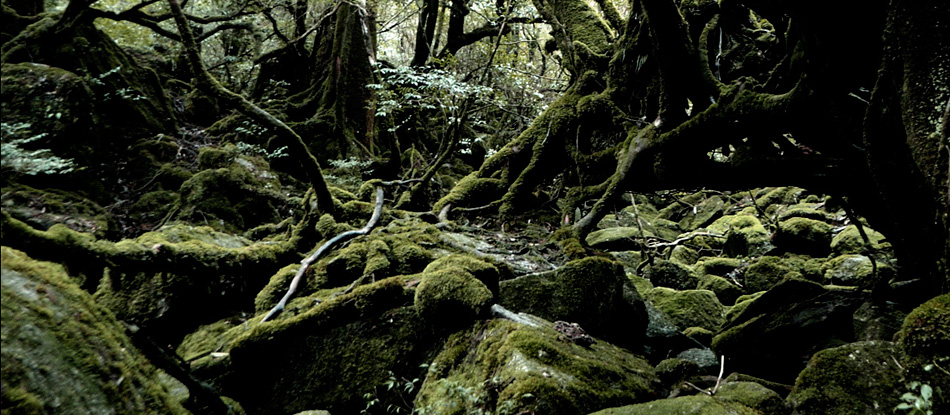 ACIDMAN | Official Site