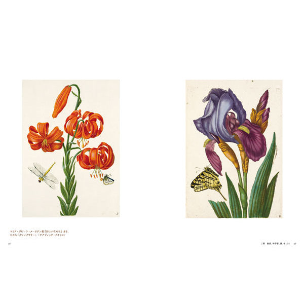 マリア・ジビーラ・メーリアン 蟲愛ずる女 – aandfonlinestore