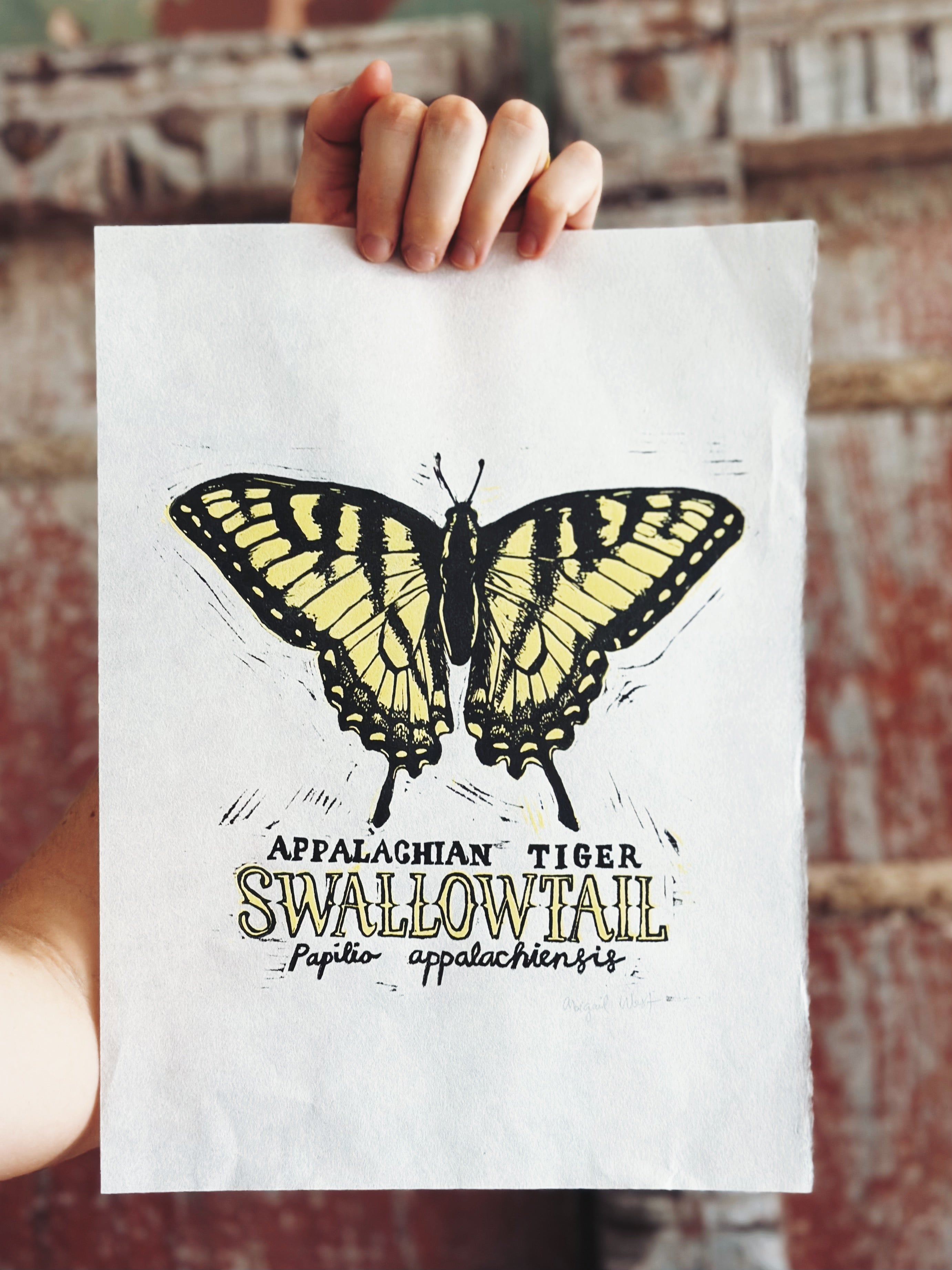 Swallowtail Butterfly Linocut Print – Abigail West Studio