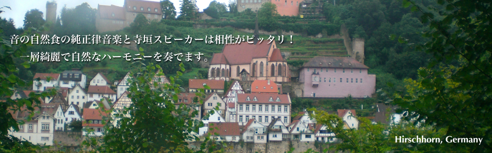 純正律音楽研究会】人と人、企業と企業、ビジネスとビジネスを結ぶ