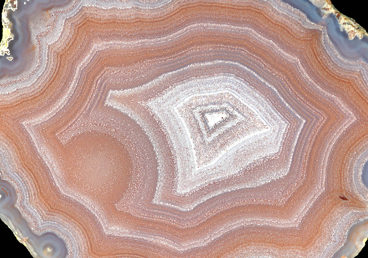 鉱物のメキシコ産ラグナアゲートの販売ならお任せください∥鉱物通販の