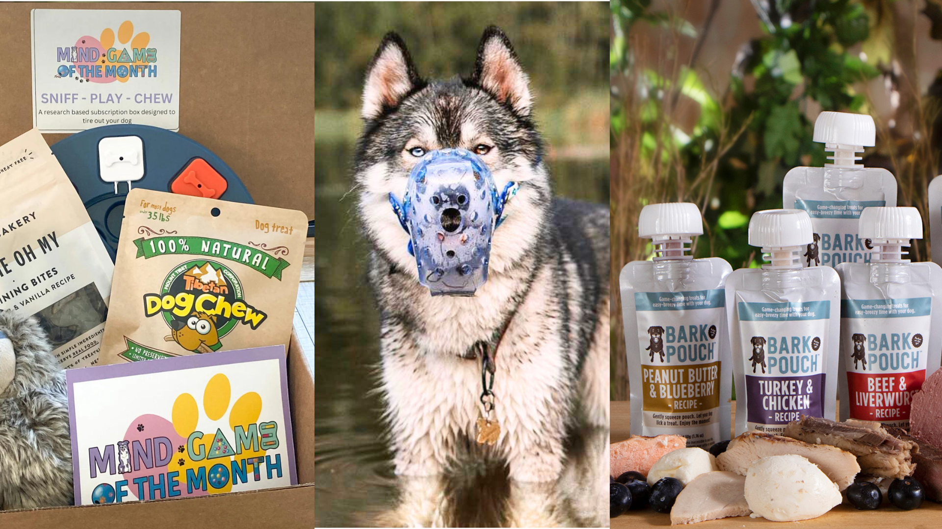 Our Favorite Products for Helping Dogs with Aggression