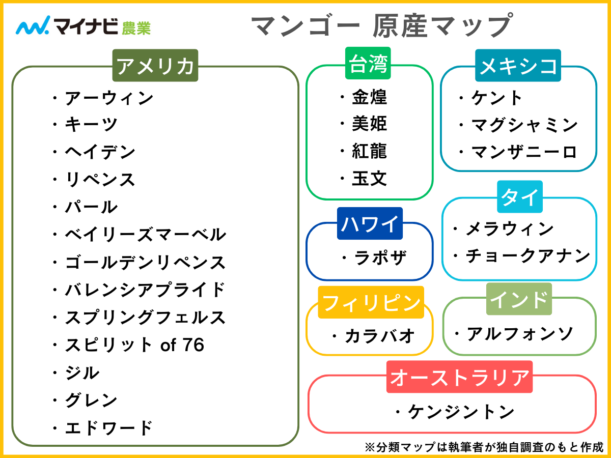 マンゴーの品種26選を分類マップで分かりやすく解説【2026年