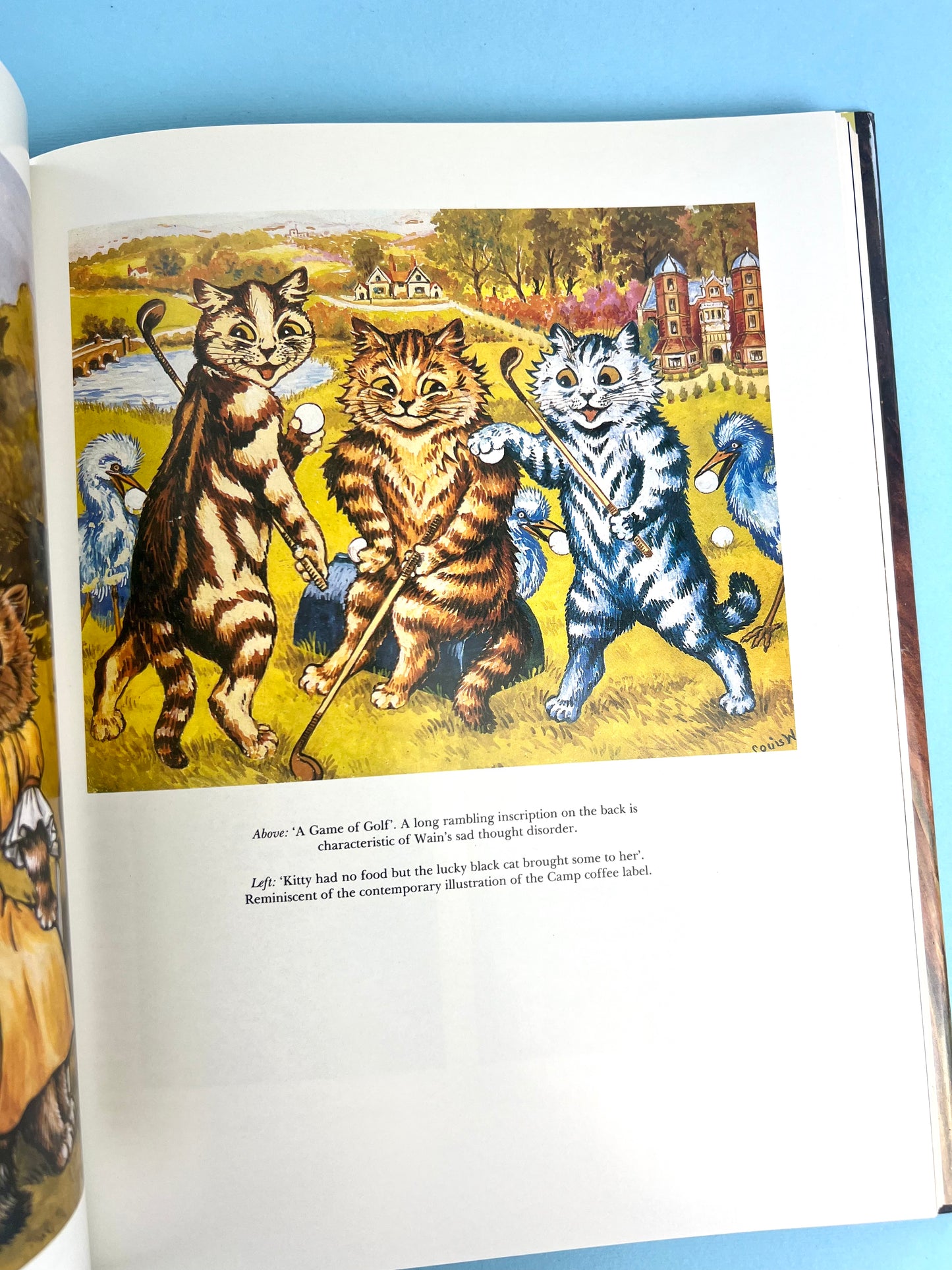 Vintage 90's Louis Wain - The Man Who Drew Cats Book – Afterall