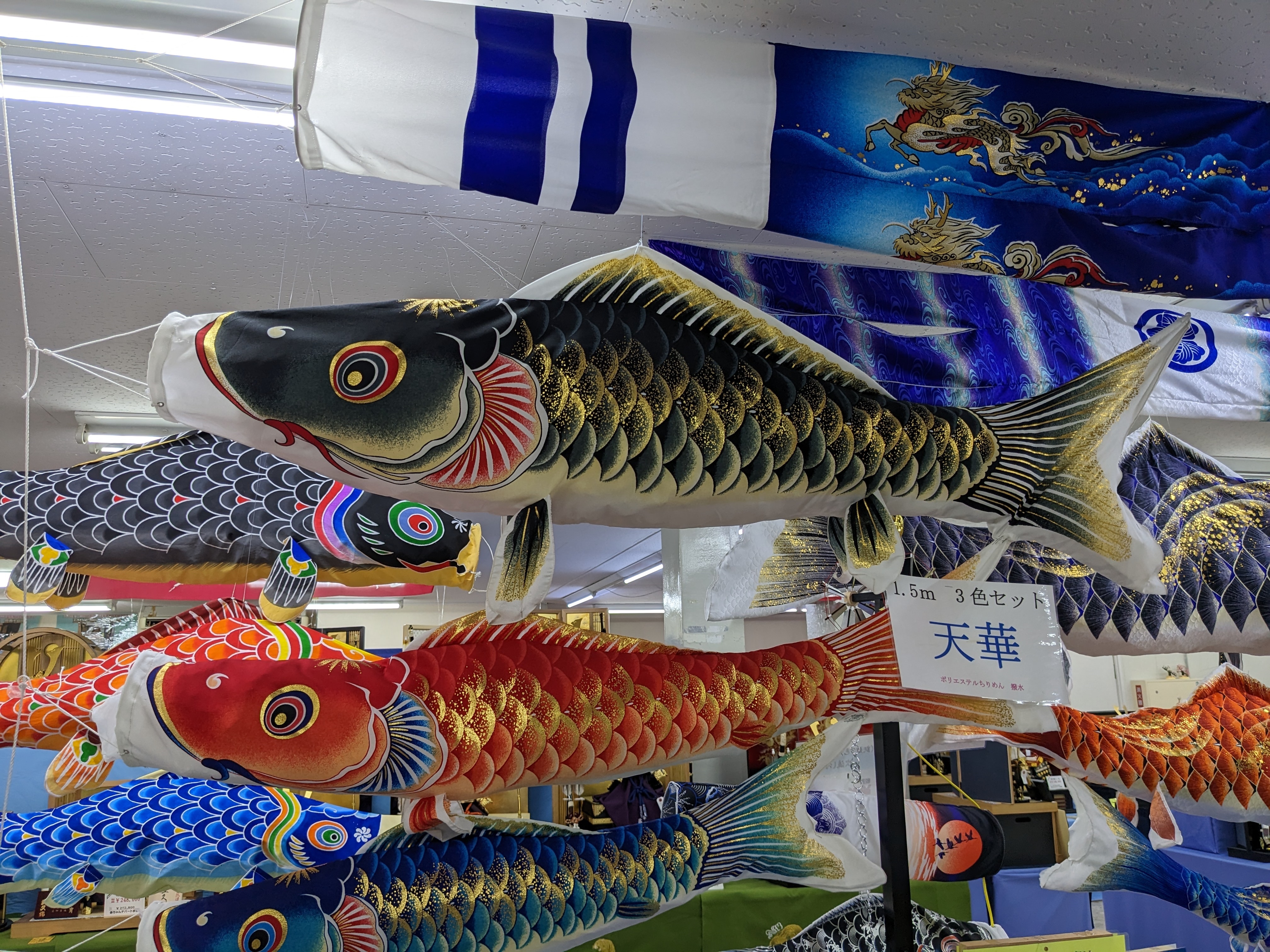 鯉のぼりを楽しもう！｜赤ちゃんデパート水谷蟹江店 | ブログ | ベビー