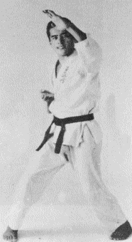 ケンカ十段 芦原英幸