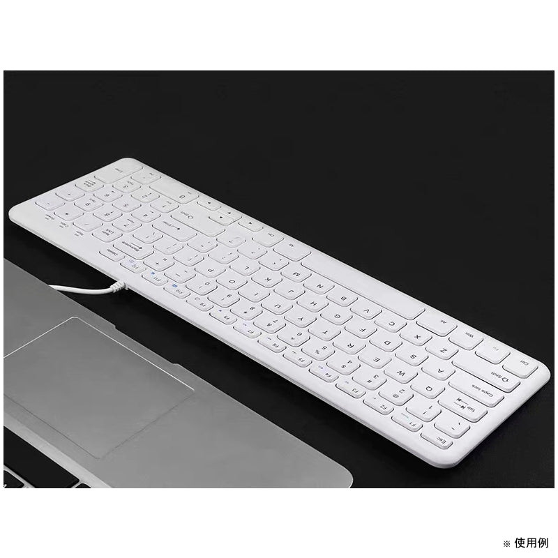 Mac互換軽量キーボード英語配列 ホワイト [KB-USB-WH] – 秋葉館