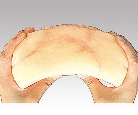 取扱を終了した商品です］8-3742-03 脂肪模型 (3kg) 【AXEL】 アズワン