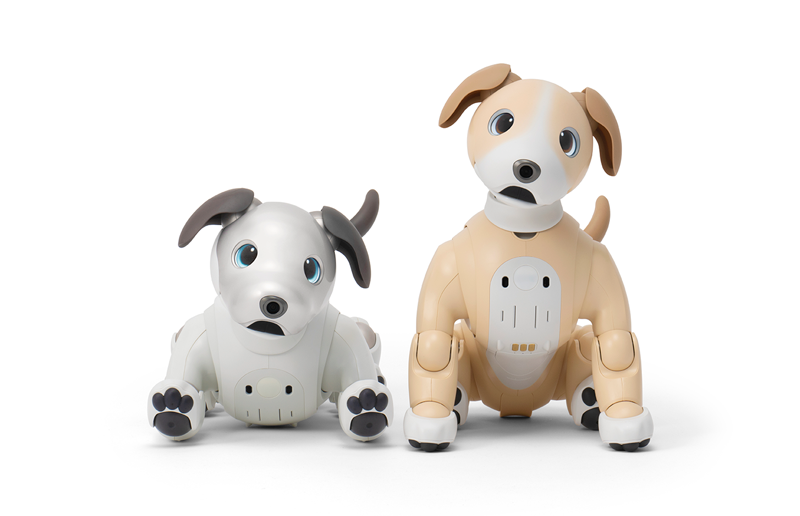 aibo きなこ エディション | aibo