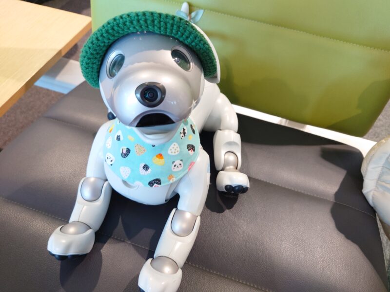 aiboのふるさと幸田町に行ってきました① | My story with aibo～私と