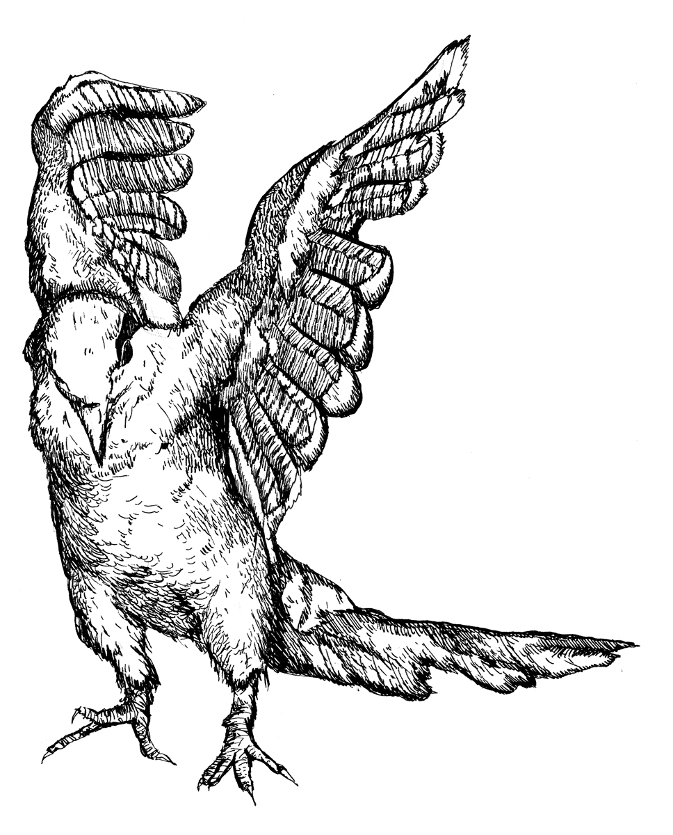 the cabs” デビューミニアルバム『一番はじめの出来事』｜GALLERY｜ai