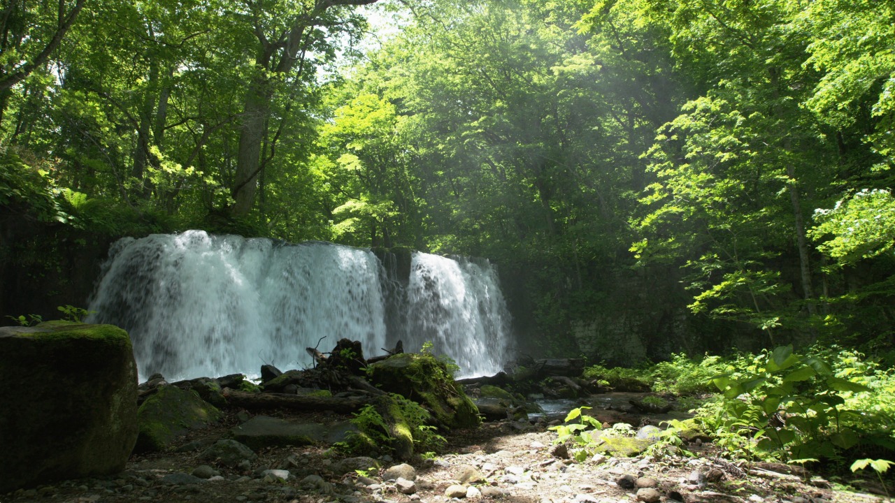 奥入瀬渓流｜スポット・体験｜【公式】青森県観光情報サイト Amazing