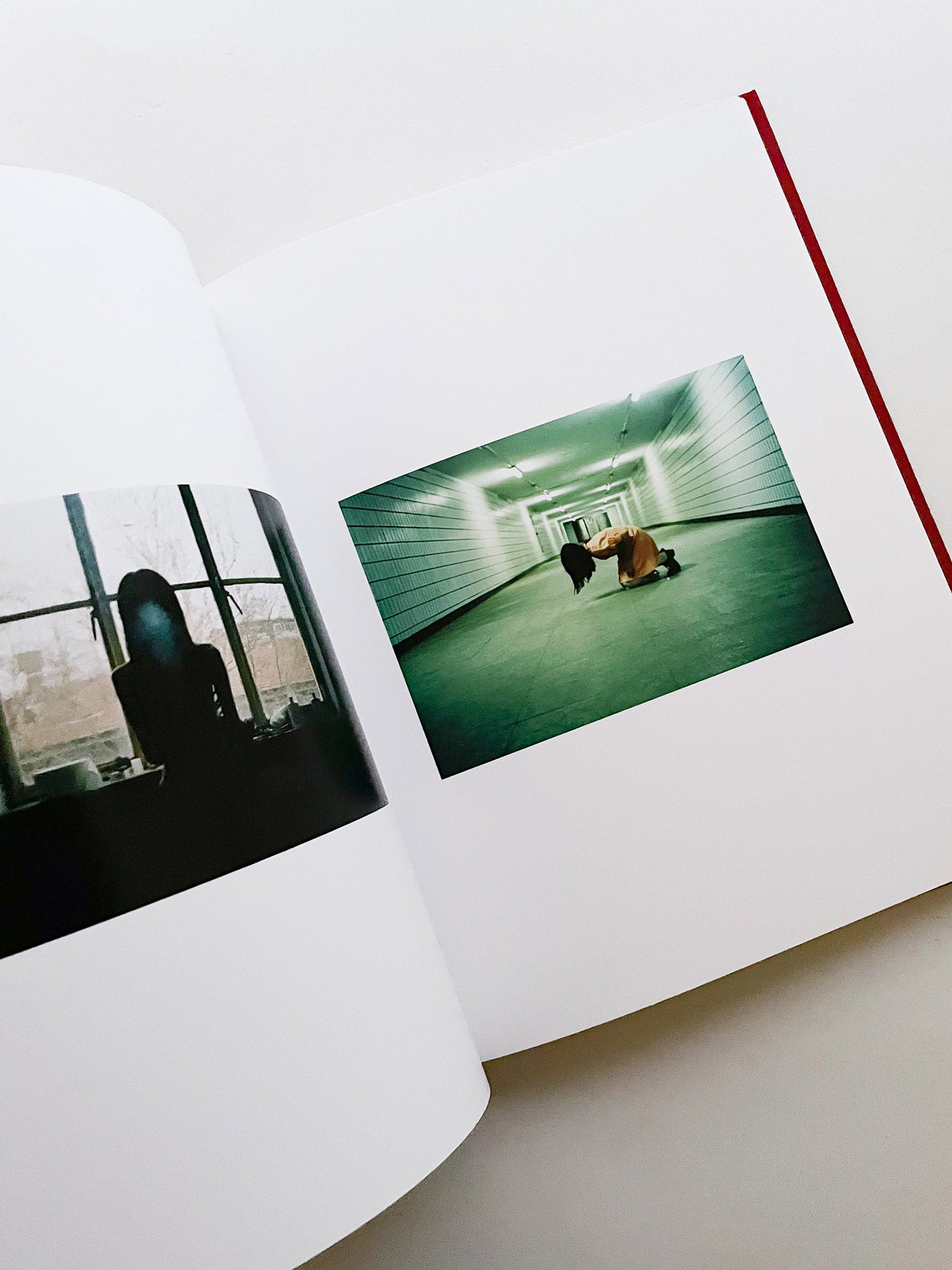 我母親 for my mother／任航 Ren Hang - 本 屋 青 旗 Ao-Hata Bookstore