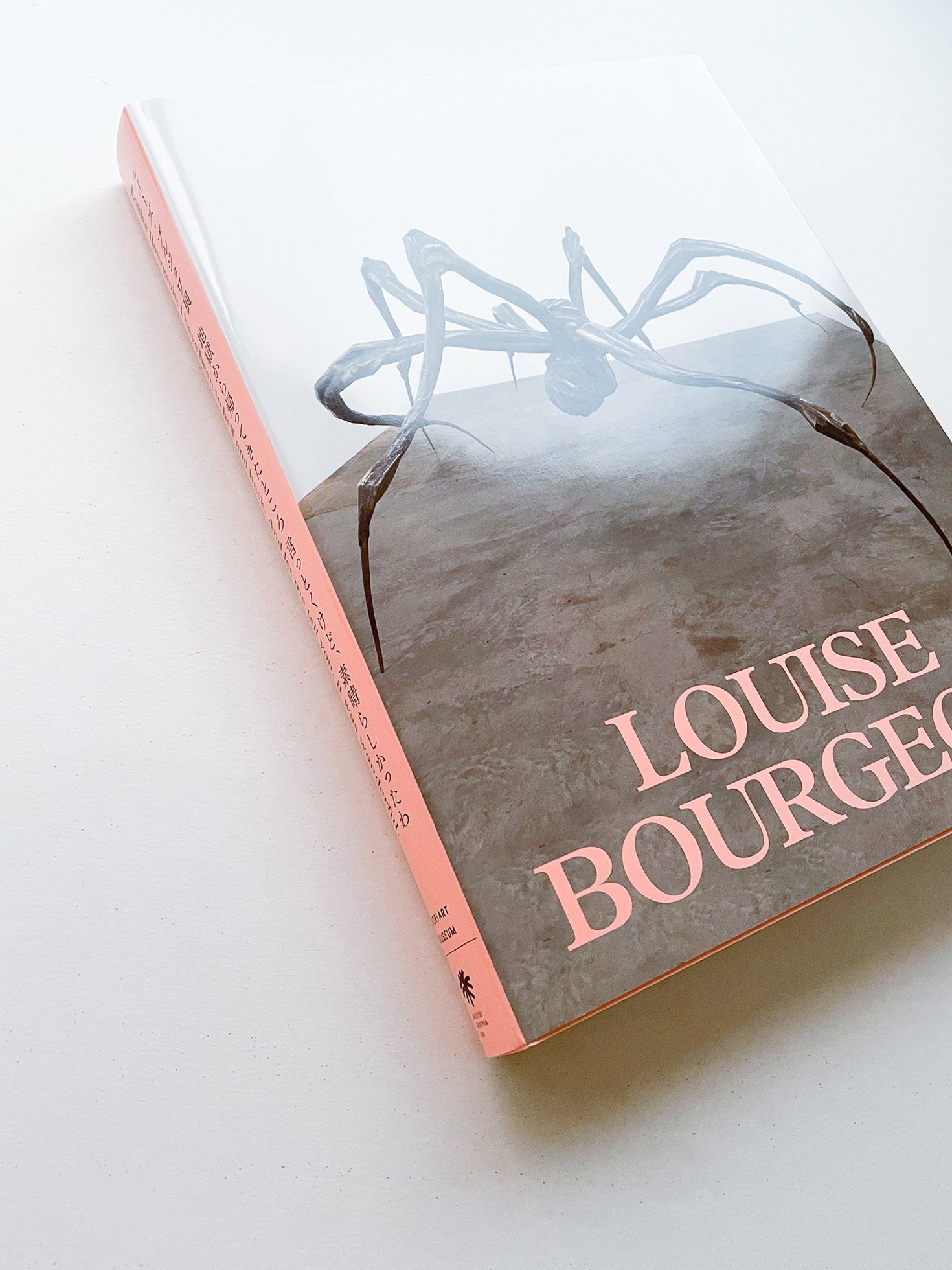 ルイーズ・ブルジョワ展：地獄から帰ってきたところ 言っとくけど