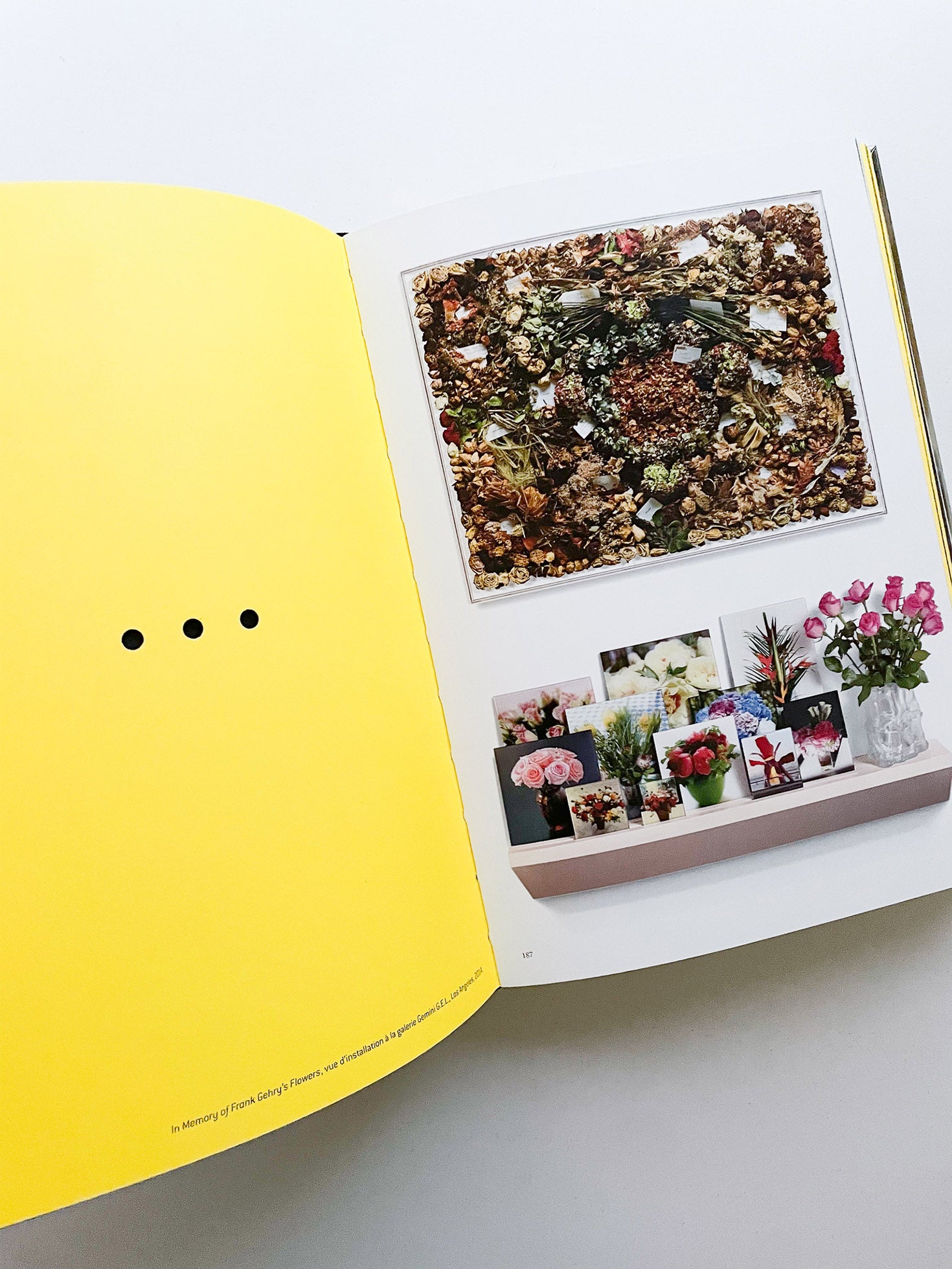 Ainsi de suite / Sophie Calle - 本 屋 青 旗 Ao-Hata Bookstore