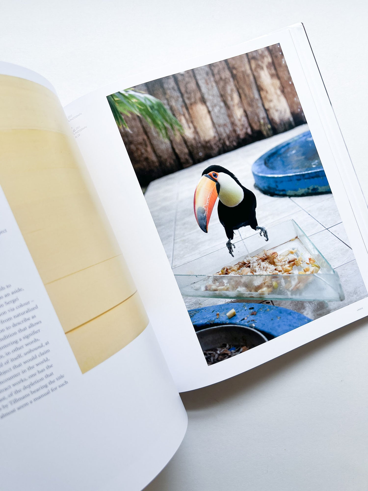 WOLFGANG TILLMANS / Wolfgang Tillmans - 本 屋 青 旗 Ao-Hata Bookstore