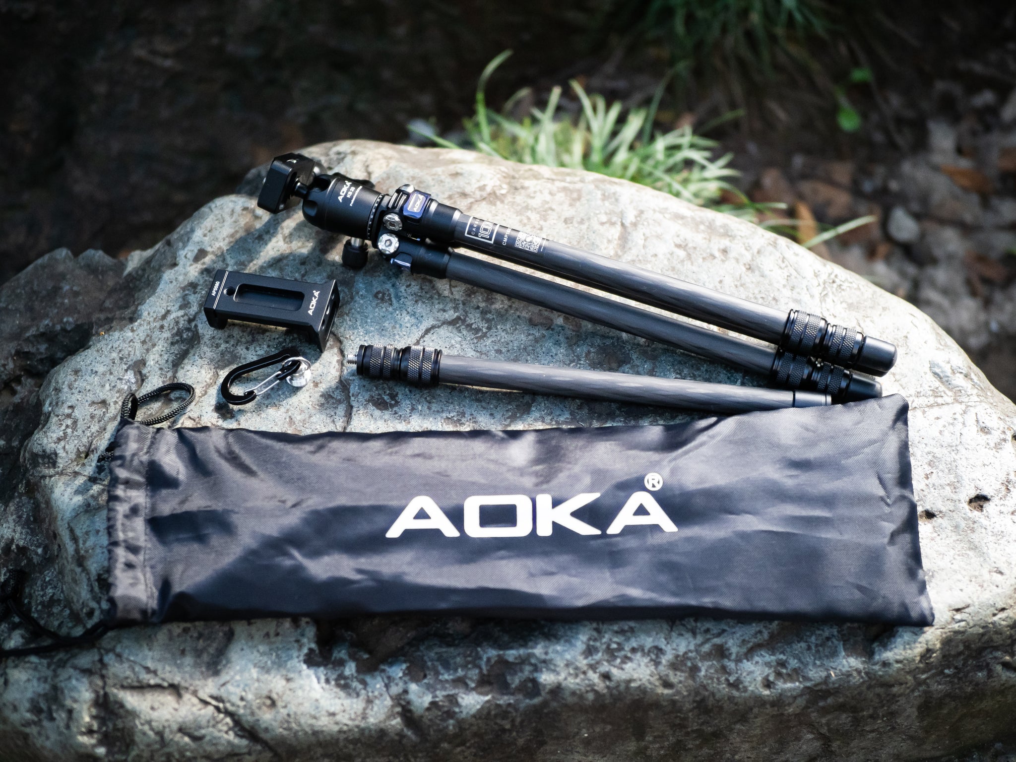 9160445-2_2048x.jpg?v=1660931937