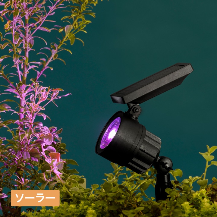 ハイパワーLED ソーラーアップライト カラーズ /A: ライト