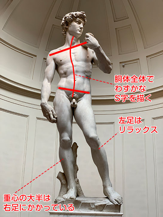 ダビデ像（ミケランジェロ）の特徴を徹底解説 – 大きさ、重さ、展示
