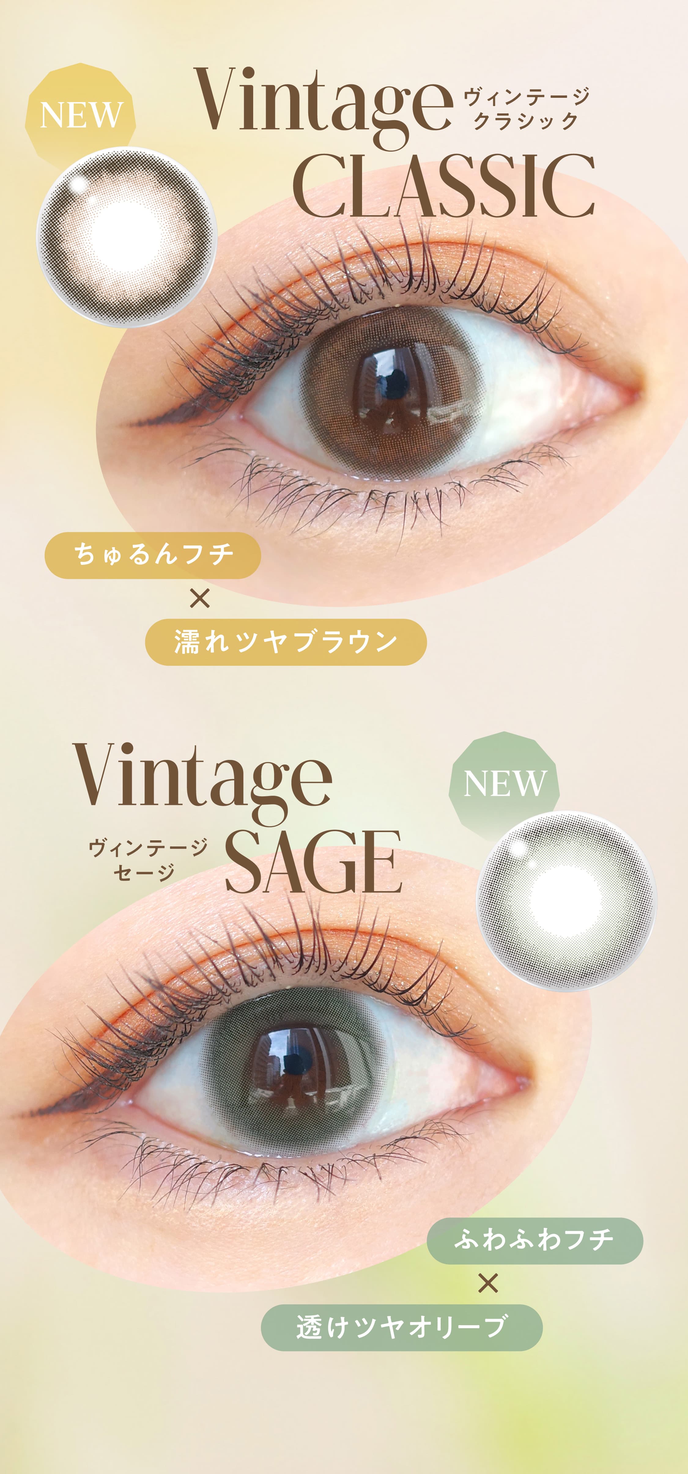 エンジェルカラー バンビ ヴィンテージ 10枚入｜大人のカラコン通販