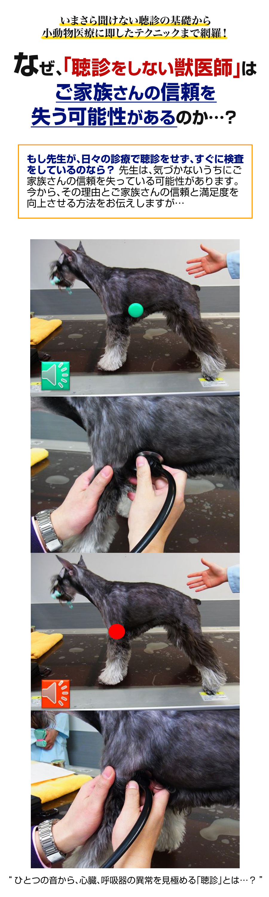 聴診を極める 実施法と考え方 | 株式会社 医療情報研究所