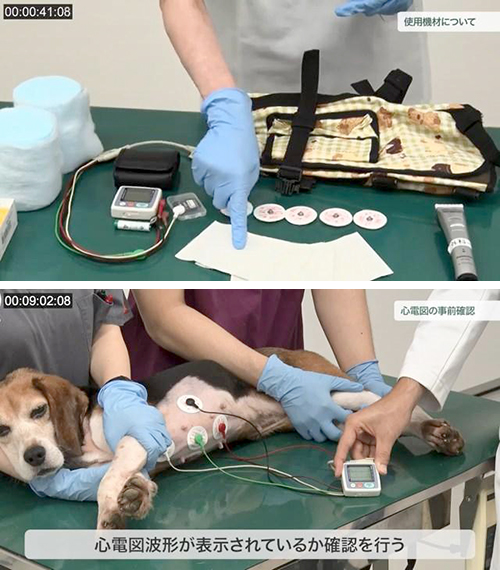 失神を疑う症例への診断アプローチ | 株式会社 医療情報研究所