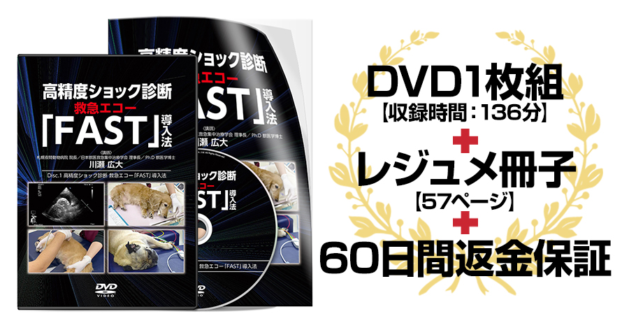 高精度ショック診断救急エコー「FAST」導入法 | 株式会社 医療情報研究所