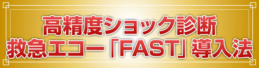 高精度ショック診断救急エコー「FAST」導入法 | 株式会社 医療情報研究所