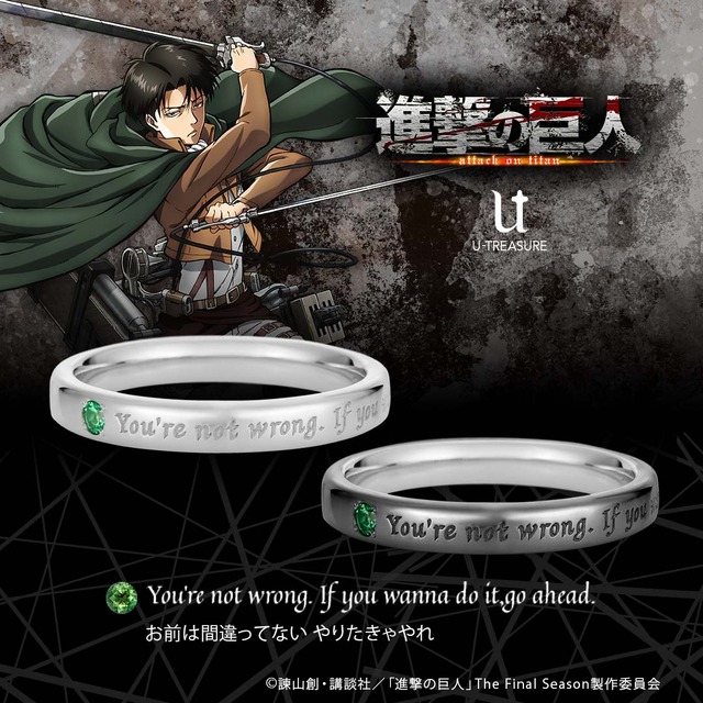 進撃の巨人」戦わなければ勝てない― エレン、ミカサ、リヴァイたちの