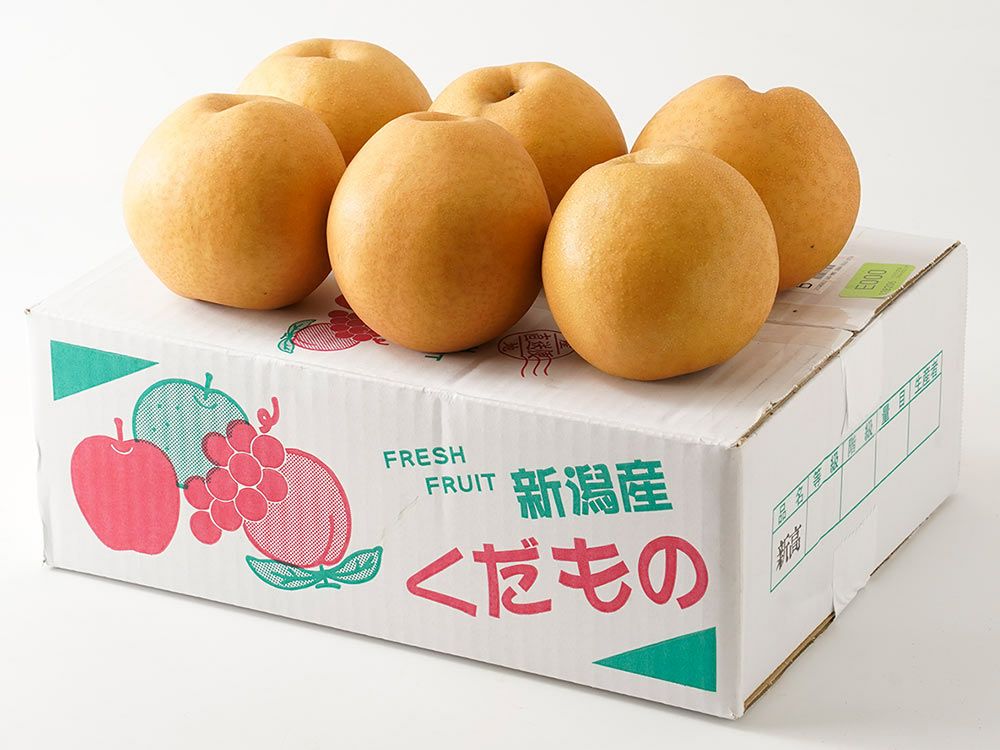 やまいち鈴木農園・ル レクチエ10玉(3.7kg)【秀品】 | 安心堂 食の