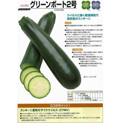 カボチャ】ズッキーニ グリーンボート2号（KAQ-002）〔カネコ交配