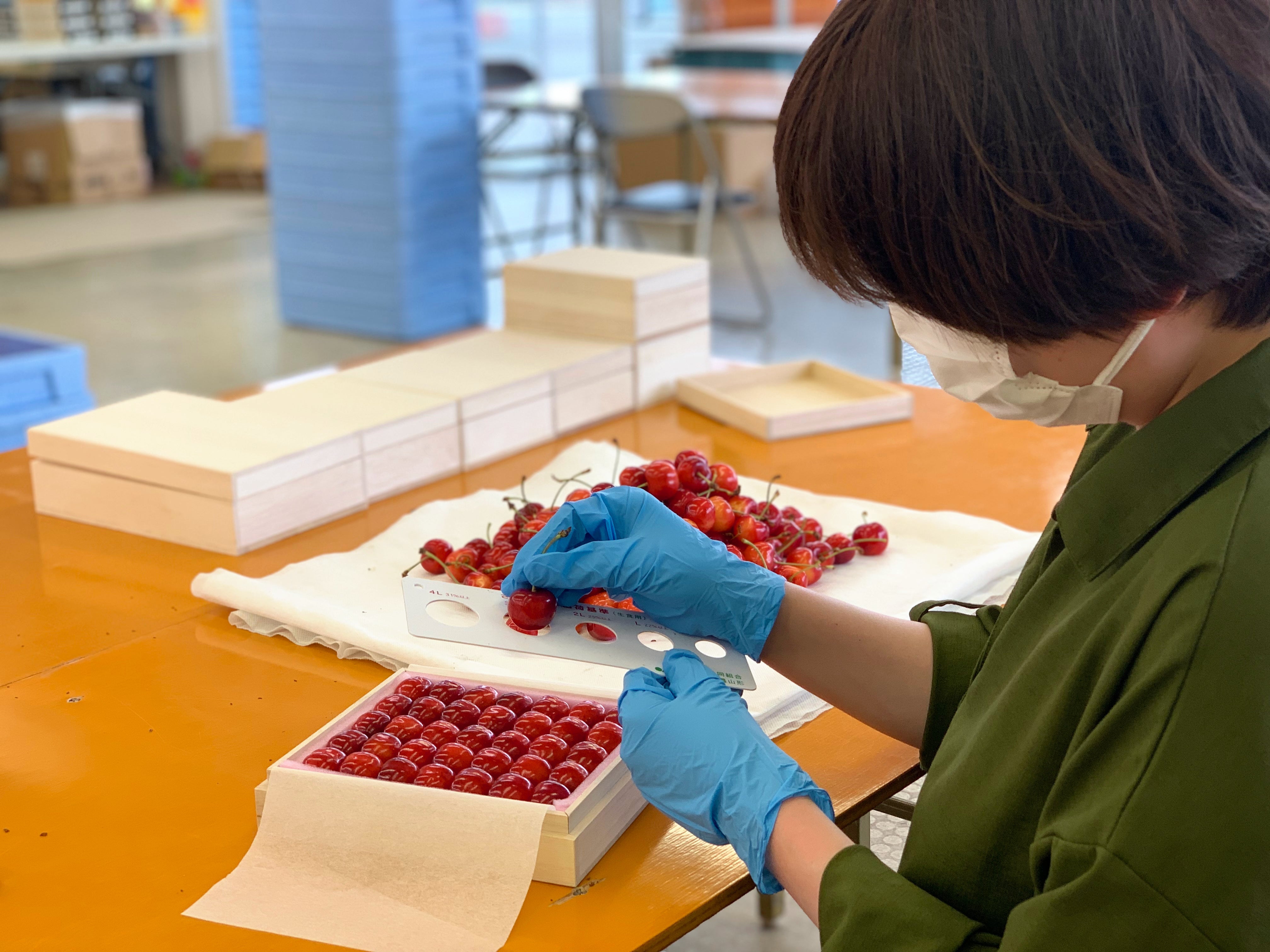 代表取締役 安達史倫が収穫から箱詰まで行う品評会級プレミアム