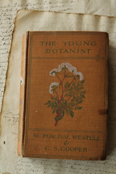 アンティークボタニカルアート 植物図鑑 イギリス THE_YOUNG_BOTANIST