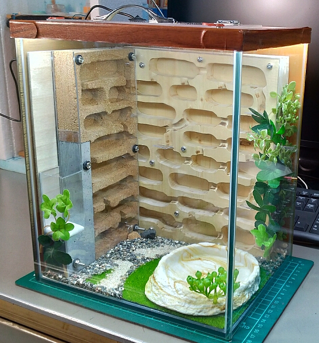 新しいムネアカオオアリ飼育巣の作成（その1） | 蟻を飼う