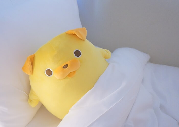 パグ太郎のぬいぐるみは通販で買える？かわいさレビュー#おじカワ