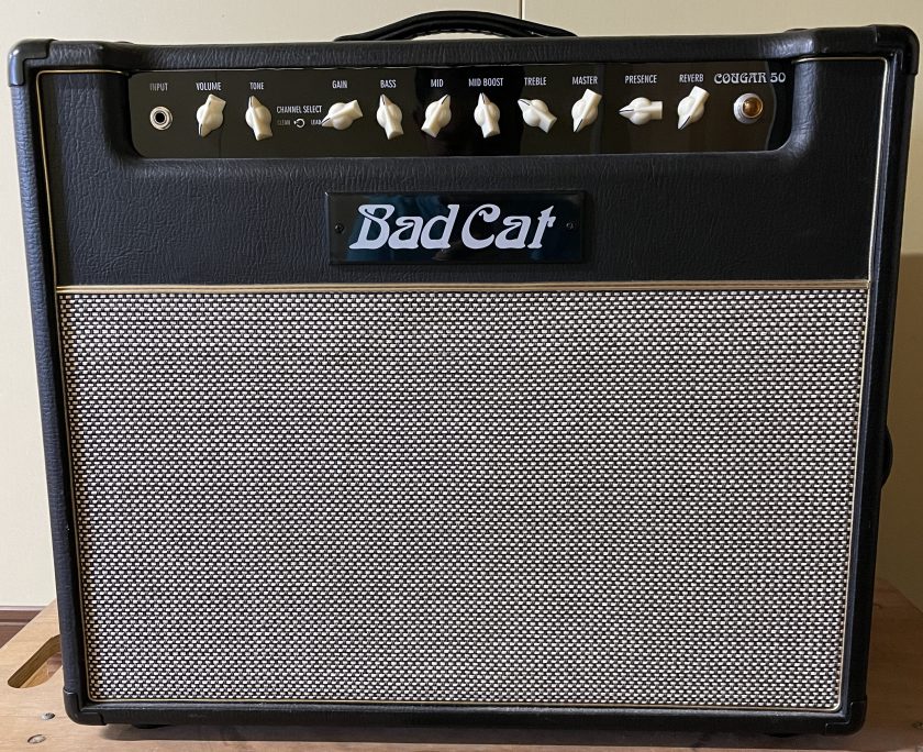Bad Cat COUGAR 50について【ギターアンプ編】 | Ascendミュージック