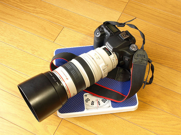 ASCII.jp：野鳥を撮るのに最適なレンズはどっち？ キヤノン×シグマ