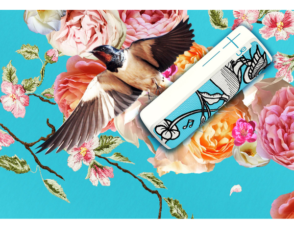 ASCII.jp：防水Bluetoothスピーカー「UE BOOM 2」限定新色ヤバい