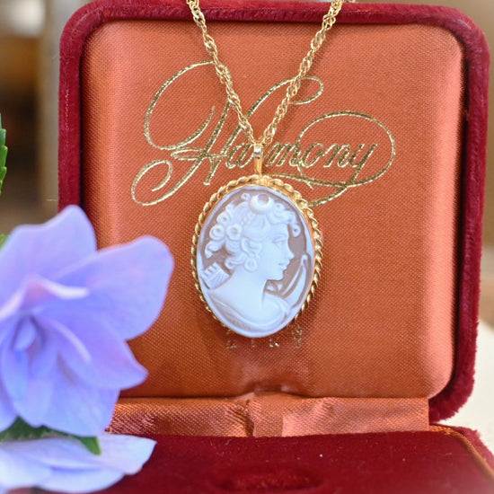 DSC_4930_550x550.jpg?v=1718597950