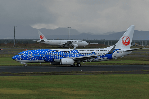 北の大地にジンベエザメのジェット機が。ボーイング 737-800型機の「新