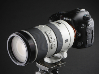 交換レンズ実写ギャラリー：ソニー70-400mm F4-5.6 G SSM II