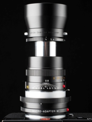 ライカレンズの美学：MACRO-ELMAR-M F4/90mm M型ライカの可能性を広げ