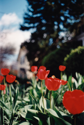 テリ・ワイフェンバック写真展「Certain Days」 - デジカメ Watch