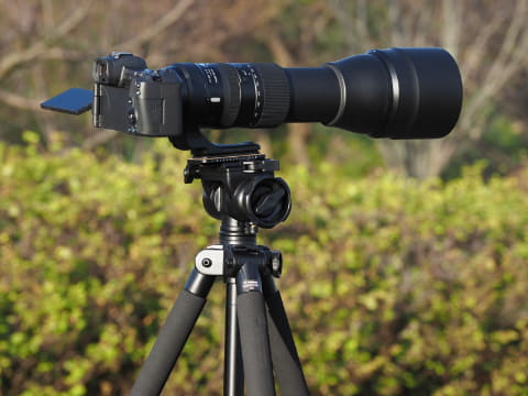 特別企画：野鳥用三脚で飛行機を撮る？超望遠レンズ初心者の写真家が