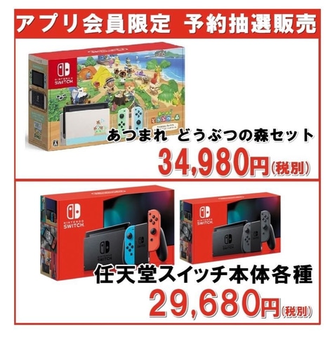 最終値下げ Switch 本体HAC-001 あつ森ソフト セット 写真説明必読