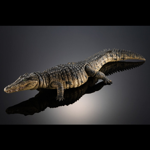 全長約40cmでナイルワニをフィギュア化。「いきもの大図鑑