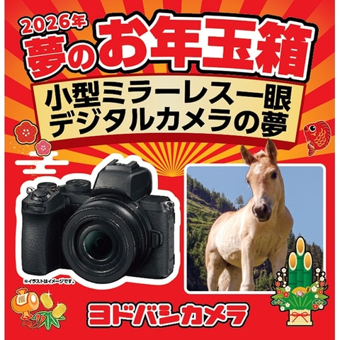 ヨドバシ・ドット・コムにて「2026年 夢のお年玉箱」の追加抽選販売