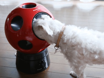 パナソニック、サッカー日本代表カラー“JFAブルー”をまとった創風機「Q